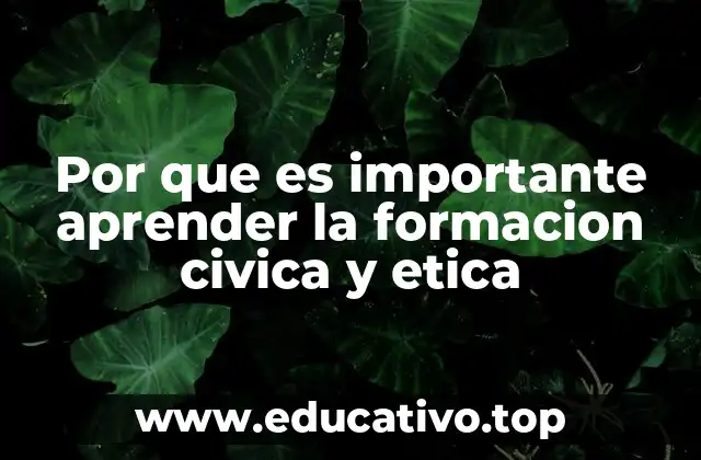 Por que es importante aprender la formacion civica y etica