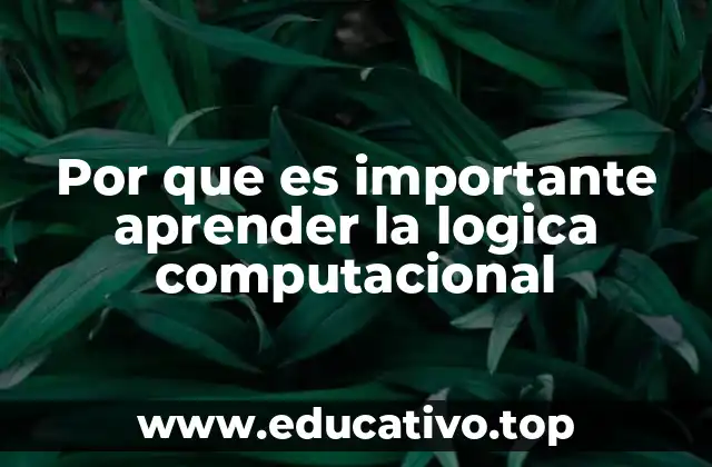 Por que es importante aprender la logica computacional