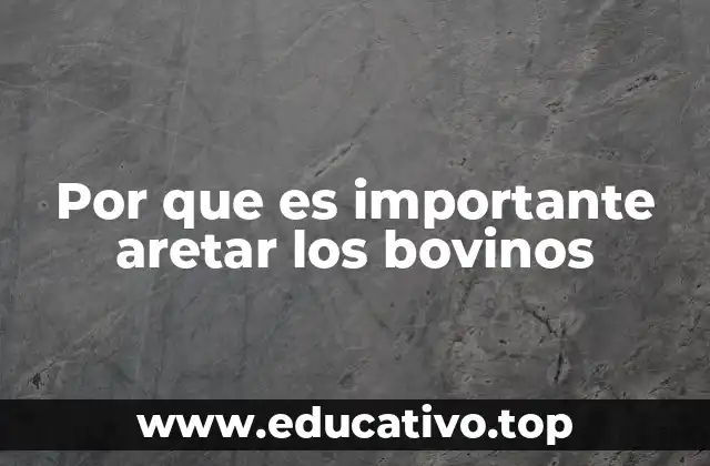 Por que es importante aretar los bovinos