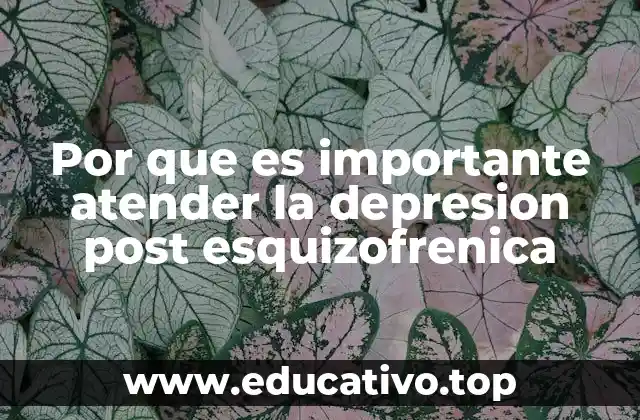 Por que es importante atender la depresion post esquizofrenica