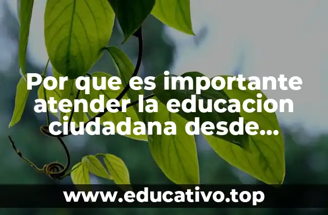 Por que es importante atender la educacion ciudadana desde preescolar