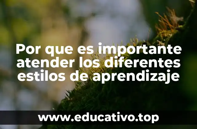 Por que es importante atender los diferentes estilos de aprendizaje