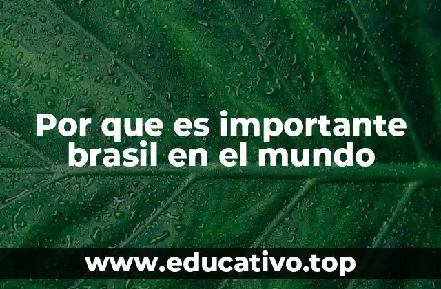 Por que es importante brasil en el mundo