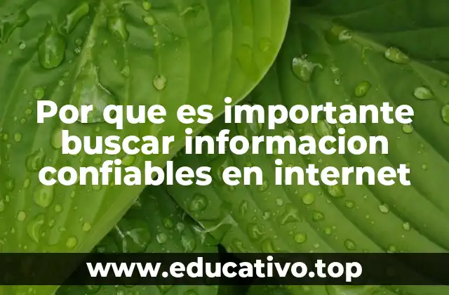 Por que es importante buscar informacion confiables en internet