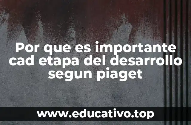 Por que es importante cad etapa del desarrollo segun piaget