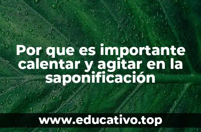 Por que es importante calentar y agitar en la saponificación