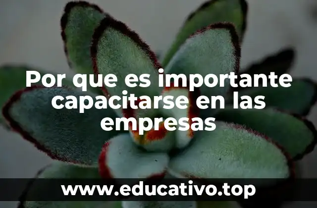 Por que es importante capacitarse en las empresas