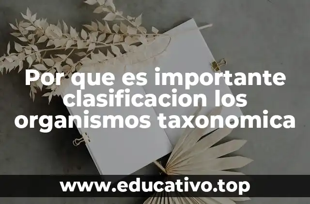 Cómo la taxonomía facilita la comprensión de la biodiversidad