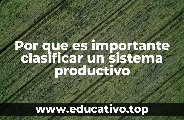 Por que es importante clasificar un sistema productivo