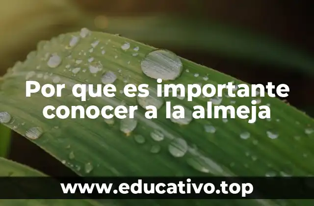 Por que es importante conocer a la almeja