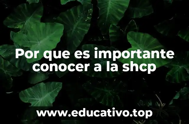 Por que es importante conocer a la shcp