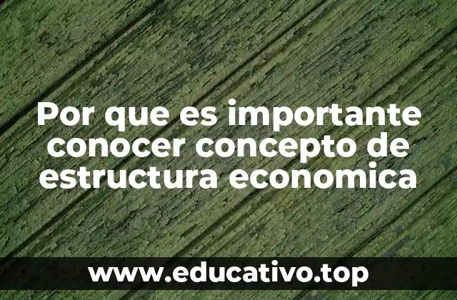 Por que es importante conocer concepto de estructura economica