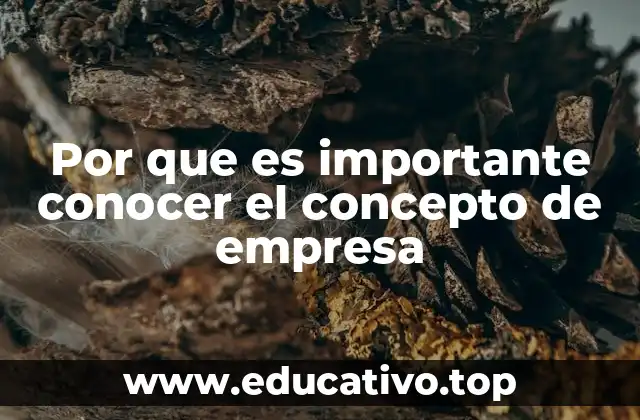 Por que es importante conocer el concepto de empresa