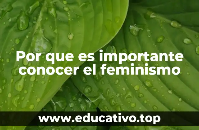 Por que es importante conocer el feminismo