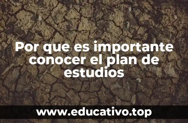 Por que es importante conocer el plan de estudios