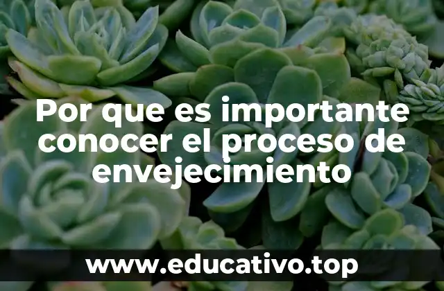 Por que es importante conocer el proceso de envejecimiento