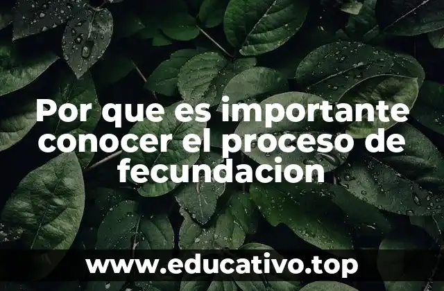 La importancia de la educación reproductiva