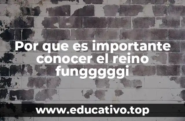 Por que es importante conocer el reino fungggggi
