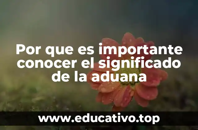 Por que es importante conocer el significado de la aduana
