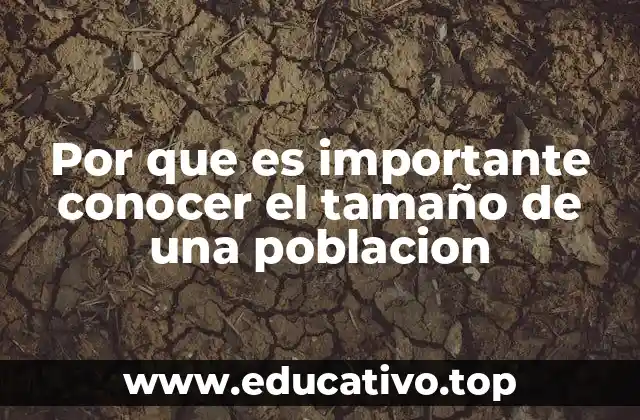 El impacto del tamaño poblacional en la planificación urbana