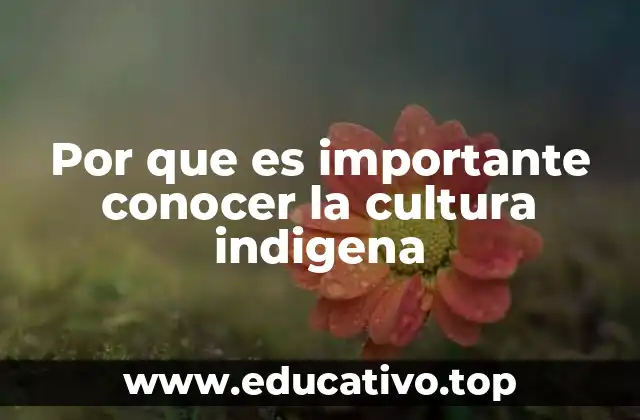 Por que es importante conocer la cultura indigena