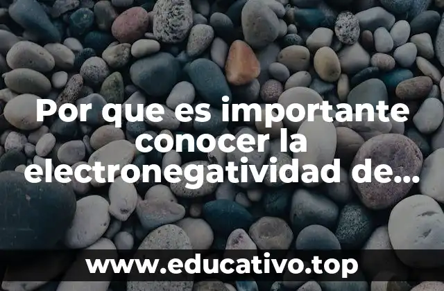 Por que es importante conocer la electronegatividad de los elementos