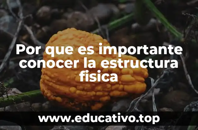 Por que es importante conocer la estructura fisica