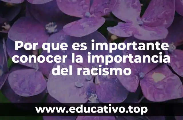 Por que es importante conocer la importancia del racismo