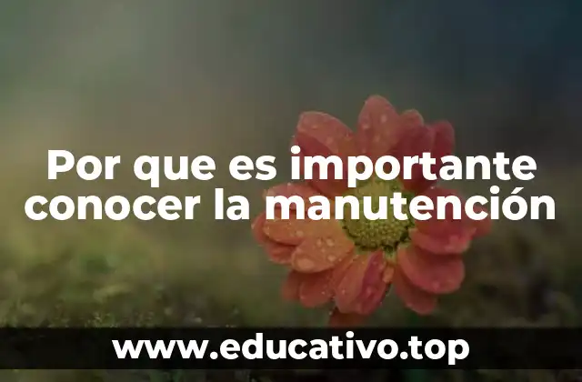 Por que es importante conocer la manutención