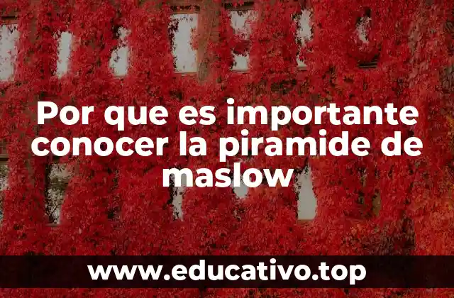 Por que es importante conocer la piramide de maslow