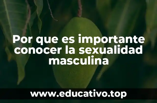 Por que es importante conocer la sexualidad masculina
