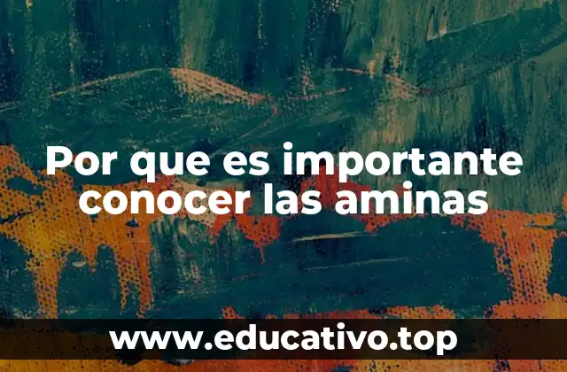 Por que es importante conocer las aminas