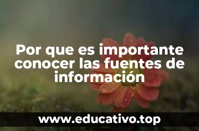 Por que es importante conocer las fuentes de información
