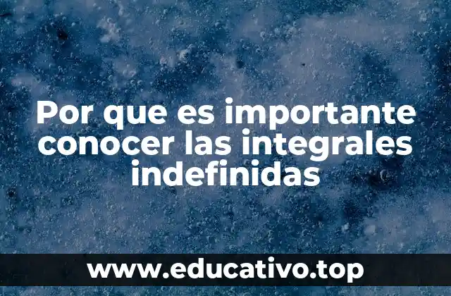 Por que es importante conocer las integrales indefinidas