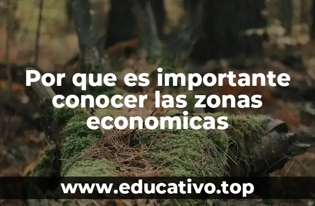 Por que es importante conocer las zonas economicas