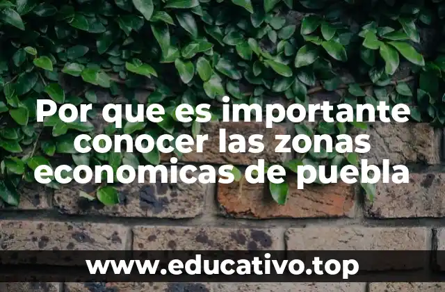 Por que es importante conocer las zonas economicas de puebla