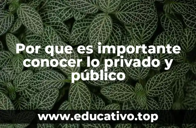 Por que es importante conocer lo privado y público