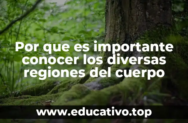 Por que es importante conocer los diversas regiones del cuerpo