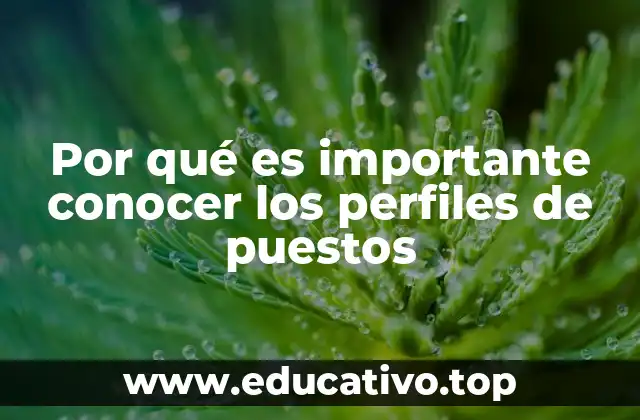 Por qué es importante conocer los perfiles de puestos