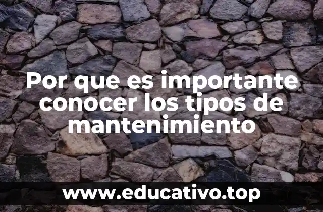 Por que es importante conocer los tipos de mantenimiento