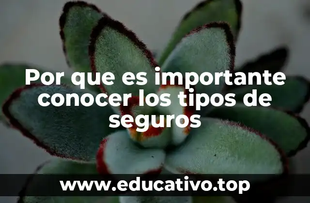 La importancia de una protección financiera adecuada