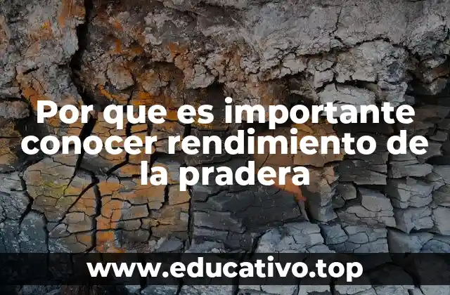 Por que es importante conocer rendimiento de la pradera