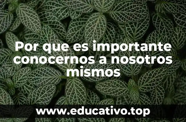 El poder del autodescubrimiento en la vida personal y profesional