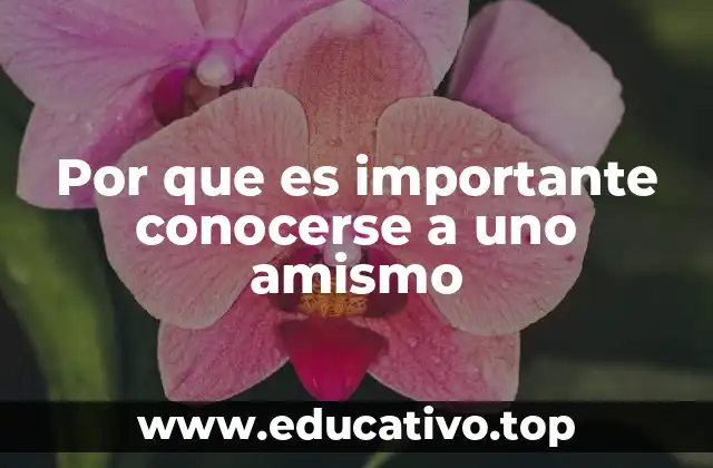 Por que es importante conocerse a uno amismo