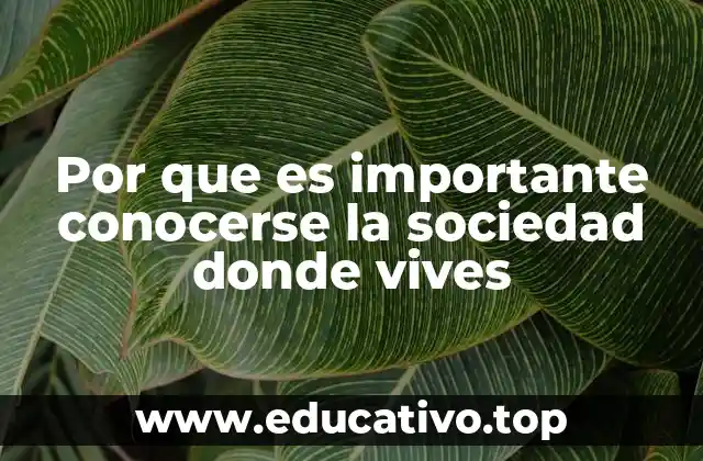 Por que es importante conocerse la sociedad donde vives