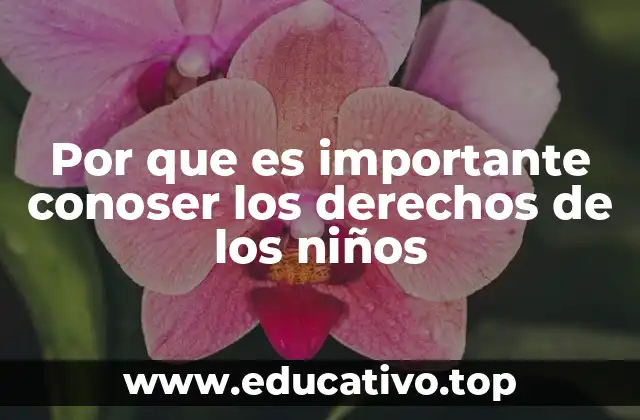 Por que es importante conoser los derechos de los niños