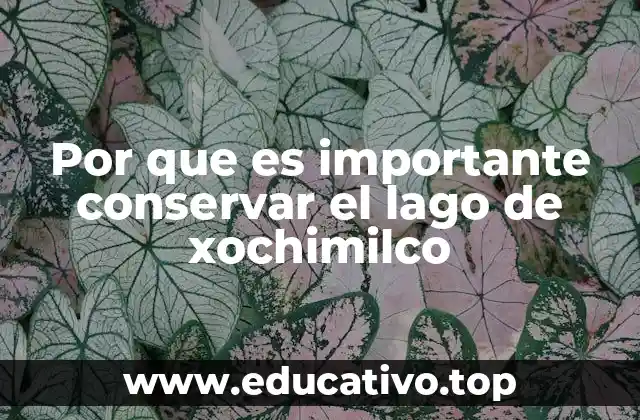Por que es importante conservar el lago de xochimilco