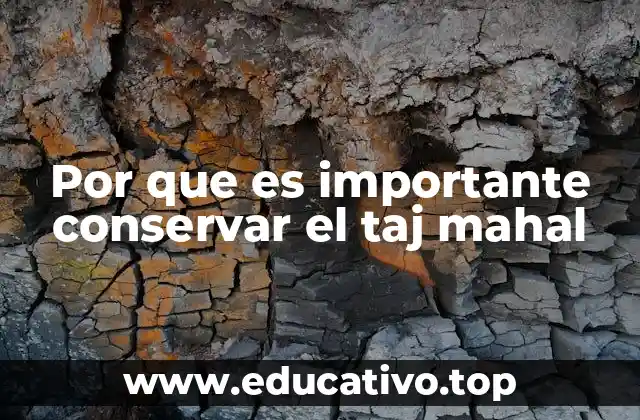 Por que es importante conservar el taj mahal