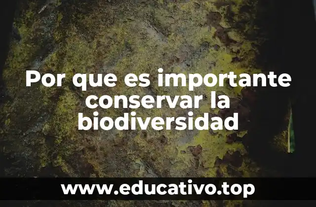 La importancia de los ecosistemas para la vida humana