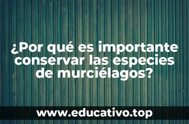 El papel ecológico de los murciélagos en los ecosistemas
